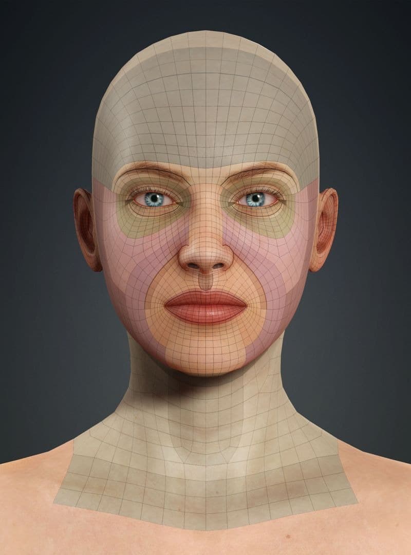 Original CC face topology guide visual from page 3