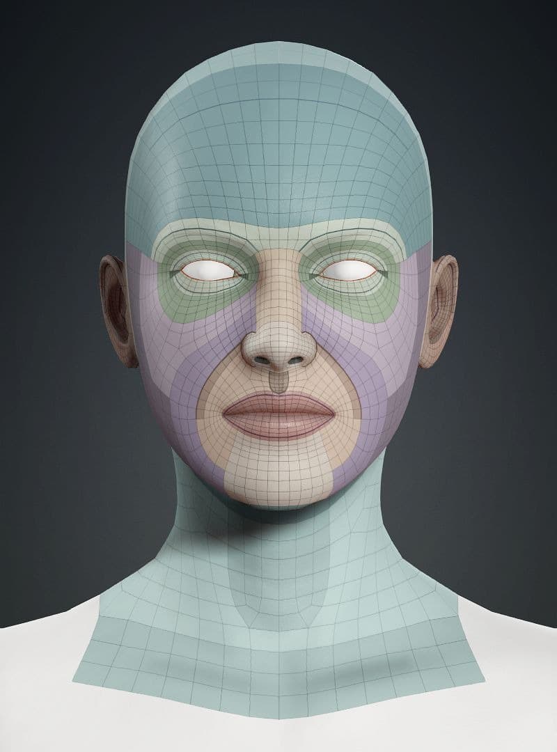Original CC face topology guide visual from page 3