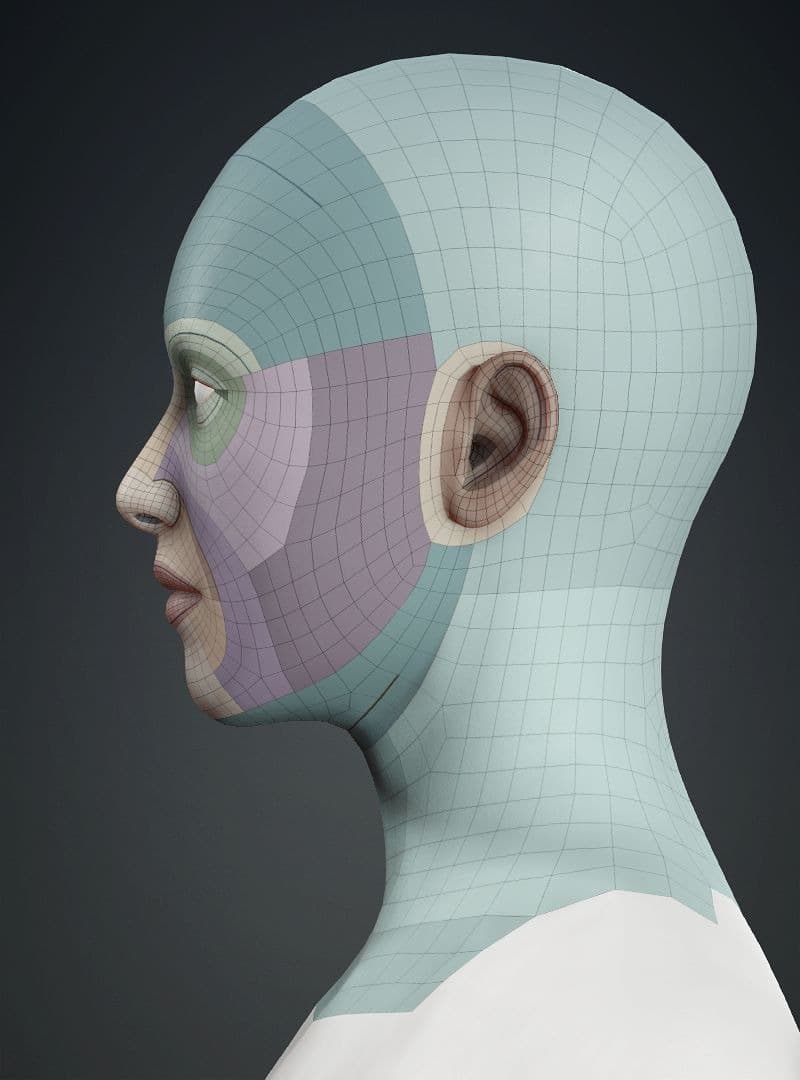 Original CC face topology guide visual from page 4
