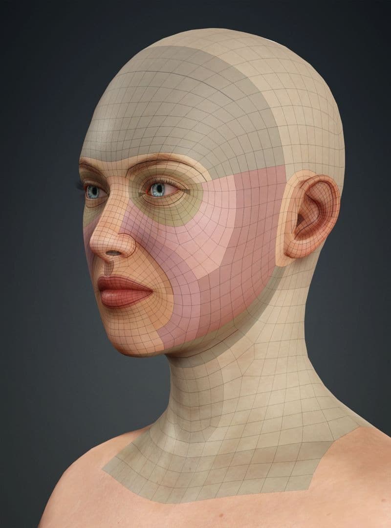Original CC face topology guide visual from page 5