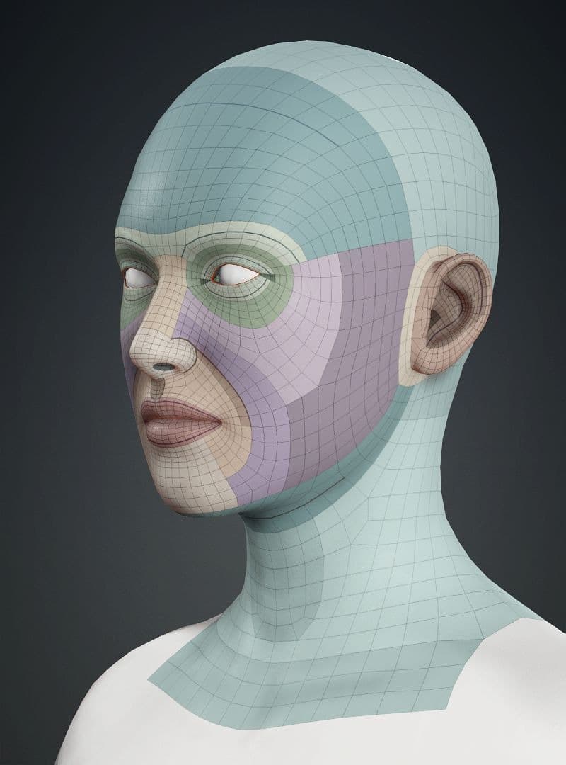 Original CC face topology guide visual from page 5