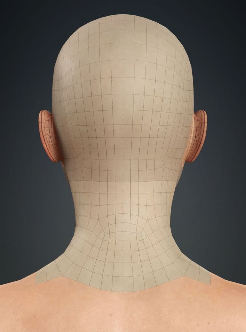 Original CC face topology guide visual from page 6