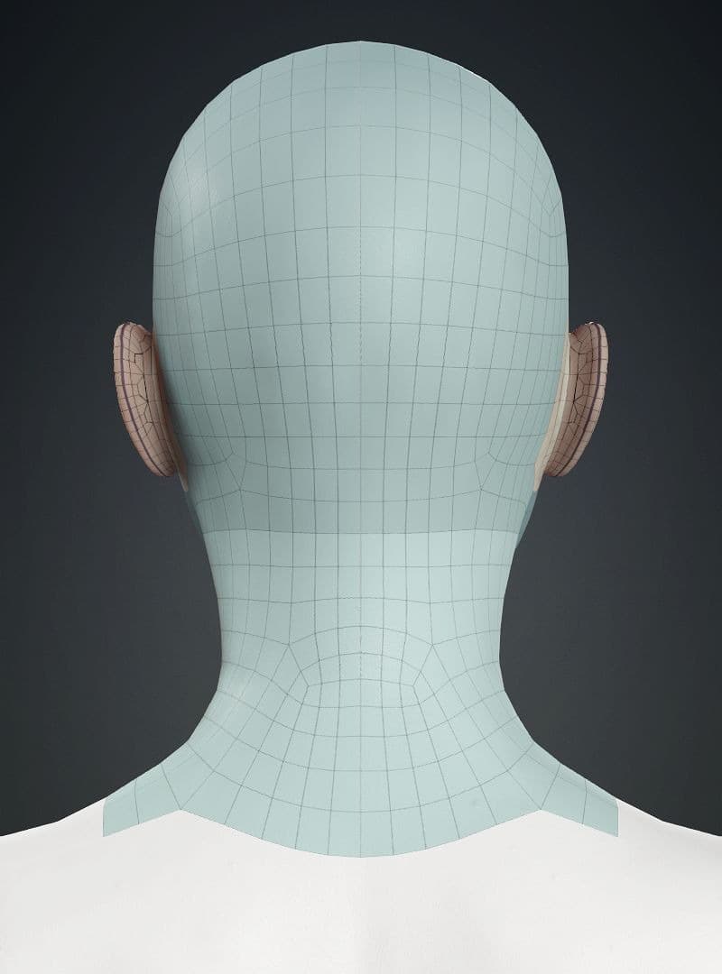 Original CC face topology guide visual from page 6
