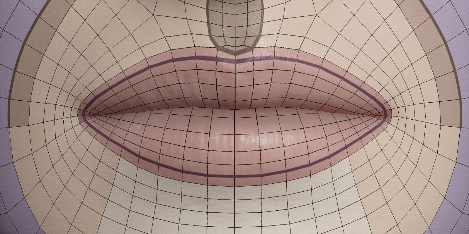 Original CC face topology guide visual from page 12