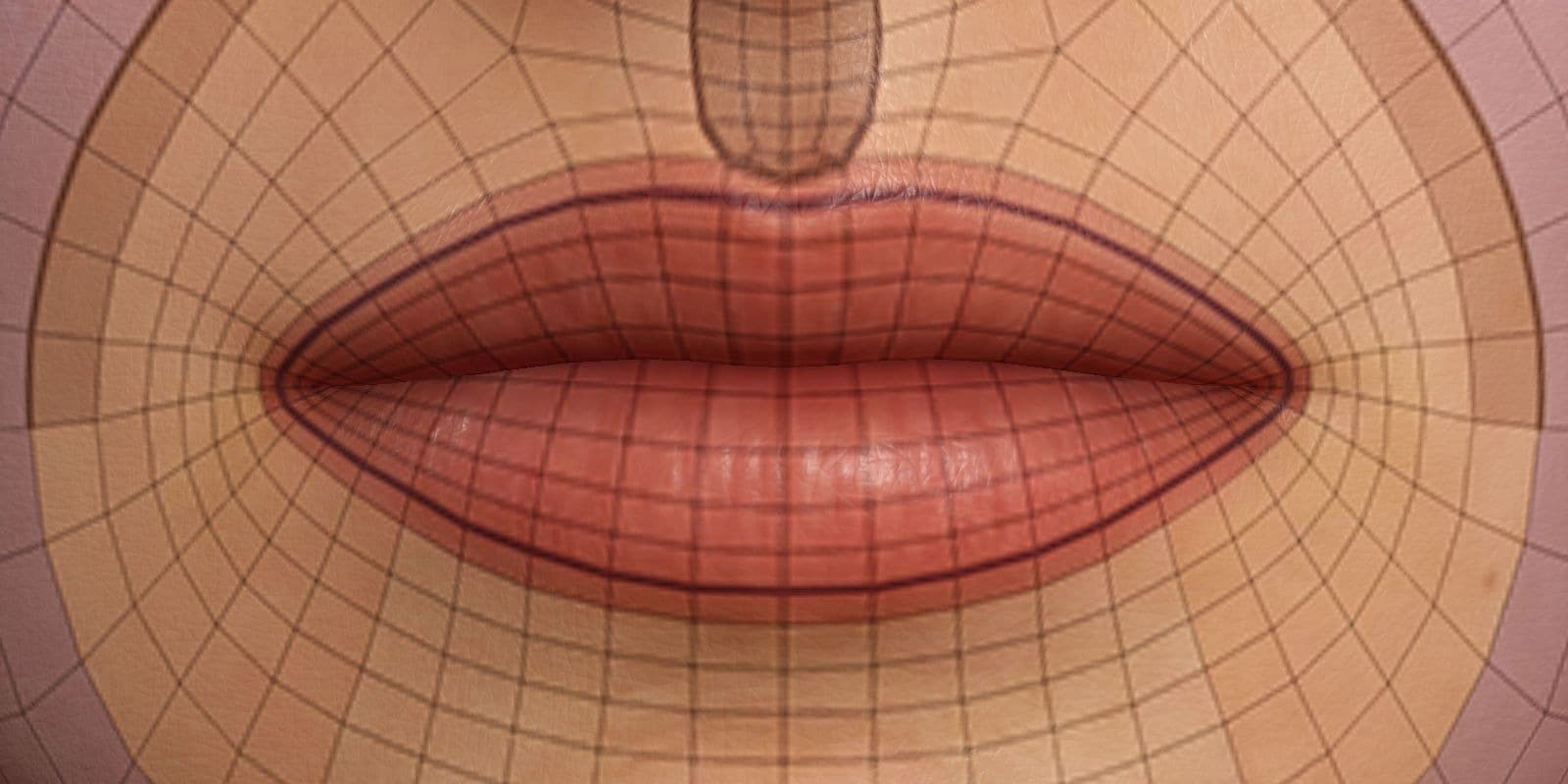 Lip contour topology image from the guide.