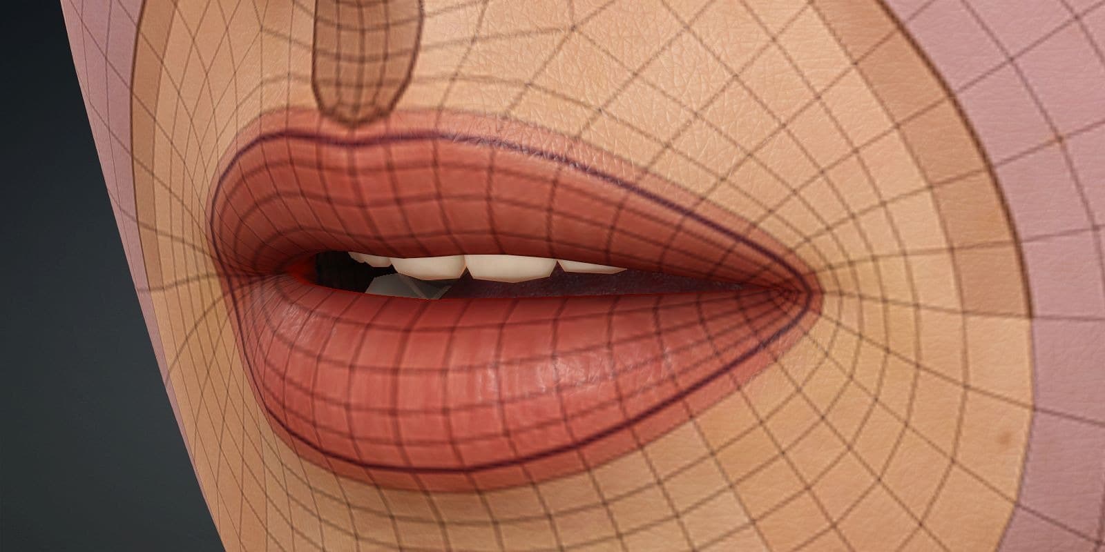 Original CC face topology guide visual from page 13