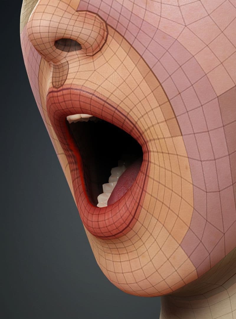 Original CC face topology guide visual from page 14