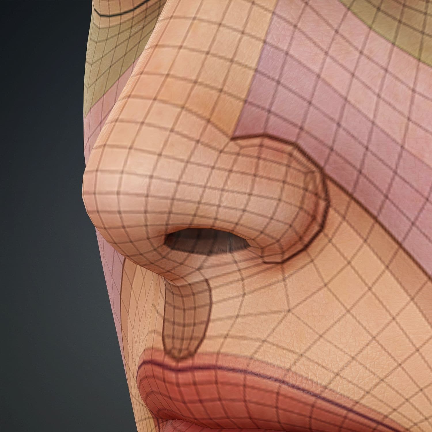 Original CC face topology guide visual from page 15