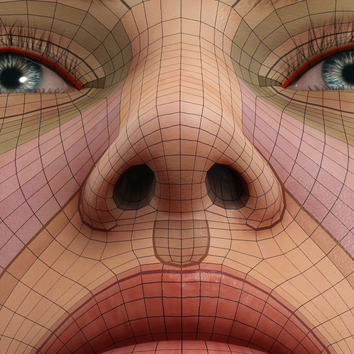 Original CC face topology guide visual from page 15
