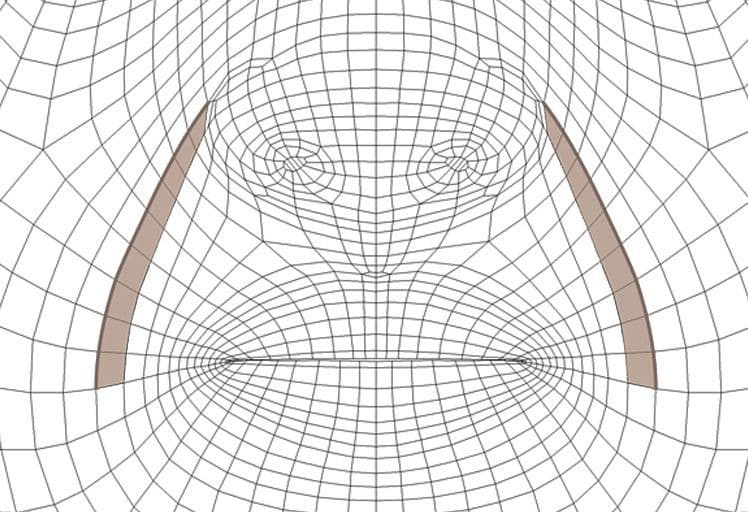 Original CC face topology guide visual from page 16