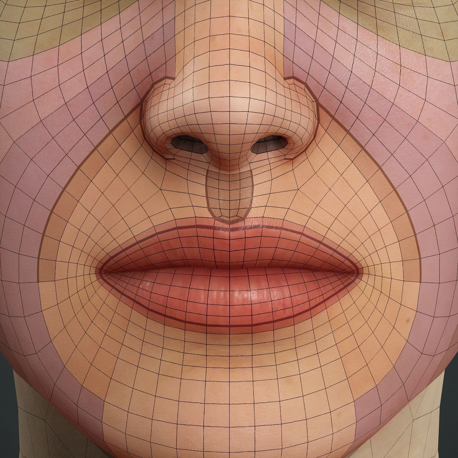Original CC face topology guide visual from page 16