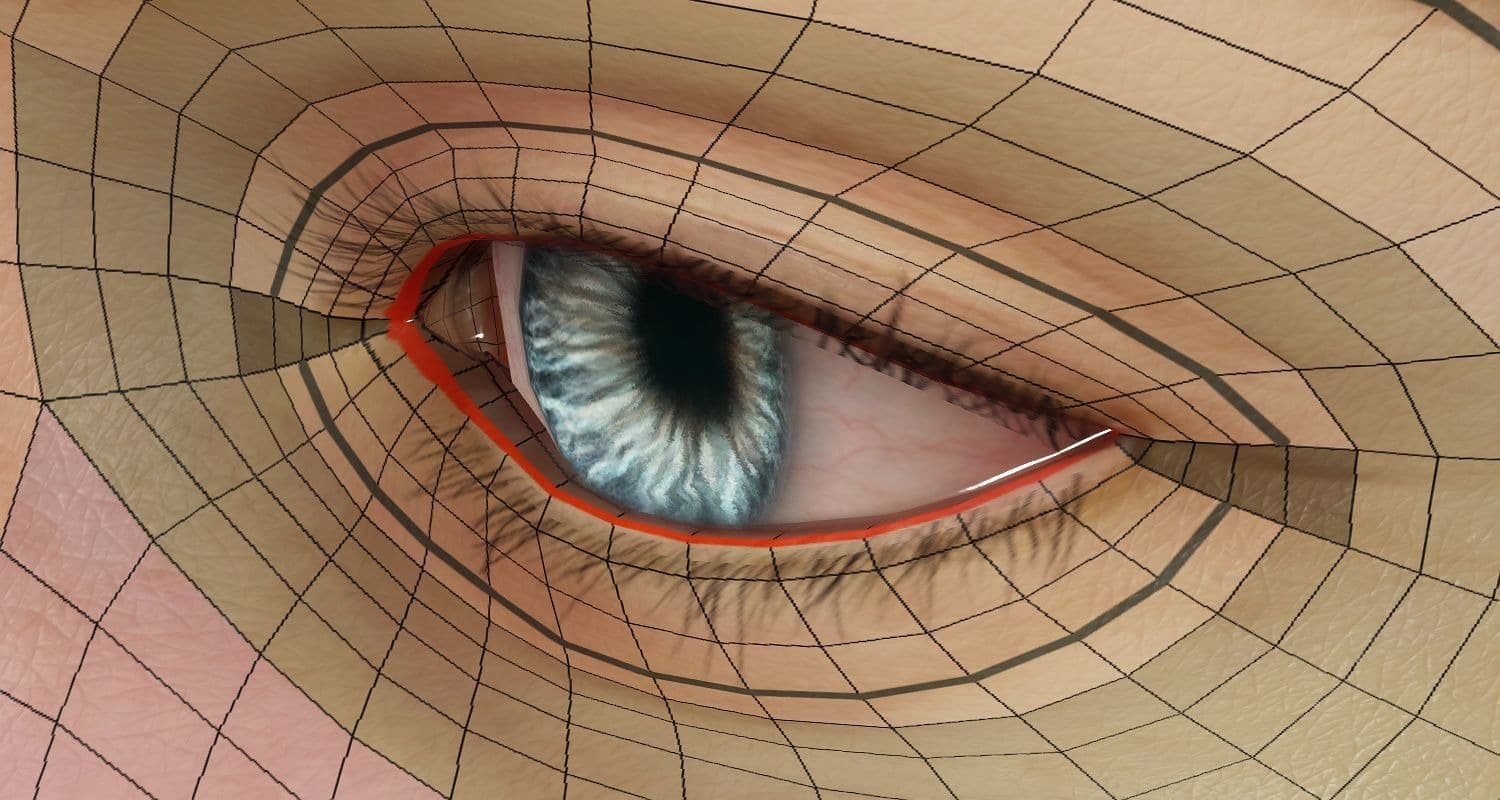Original CC face topology guide visual from page 17