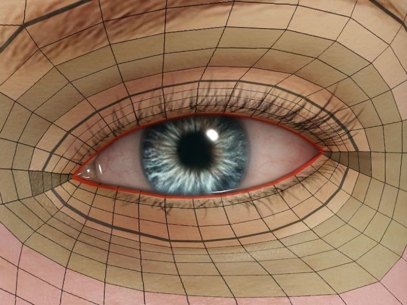 Eye socket topology image from the guide.