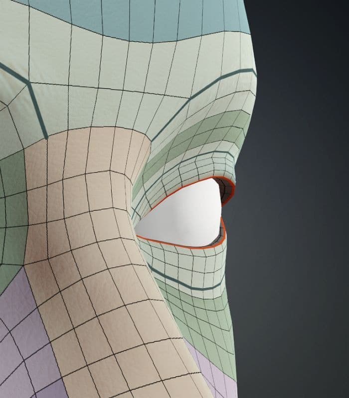 Original CC face topology guide visual from page 18