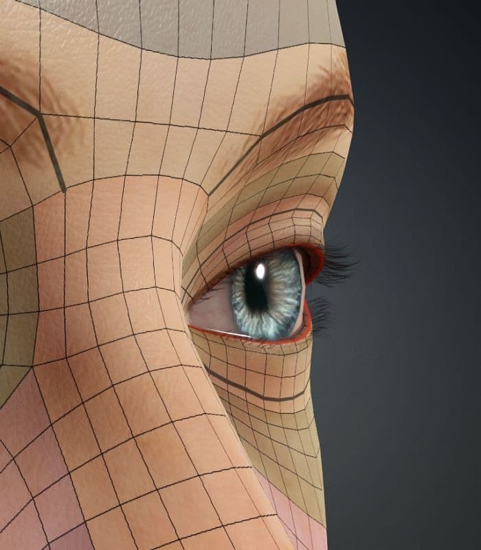 Original CC face topology guide visual from page 18