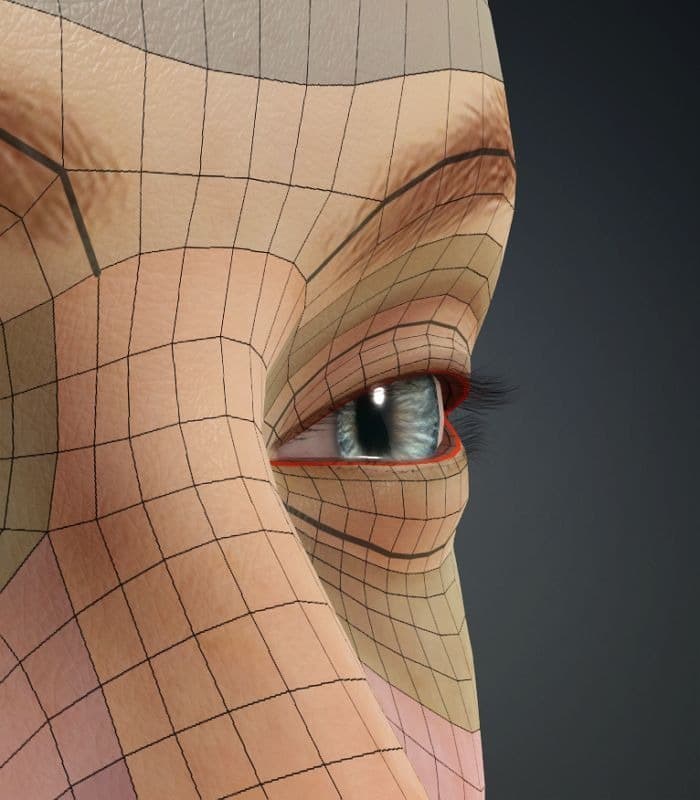 Original CC face topology guide visual from page 18