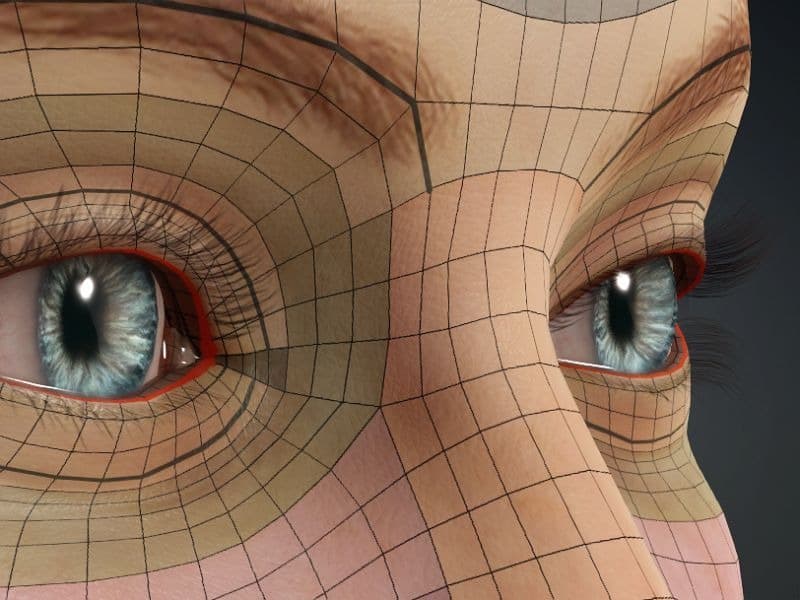 Original CC face topology guide visual from page 19