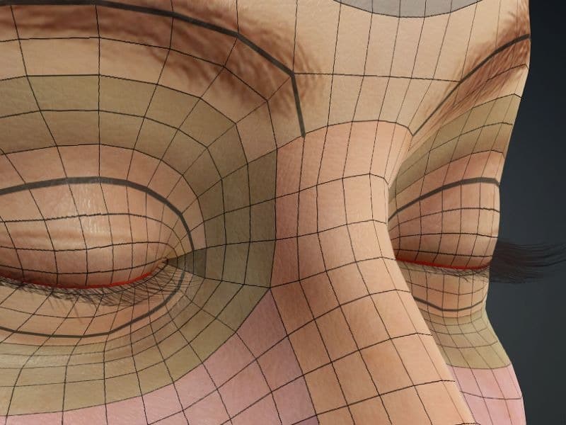 Original CC face topology guide visual from page 19