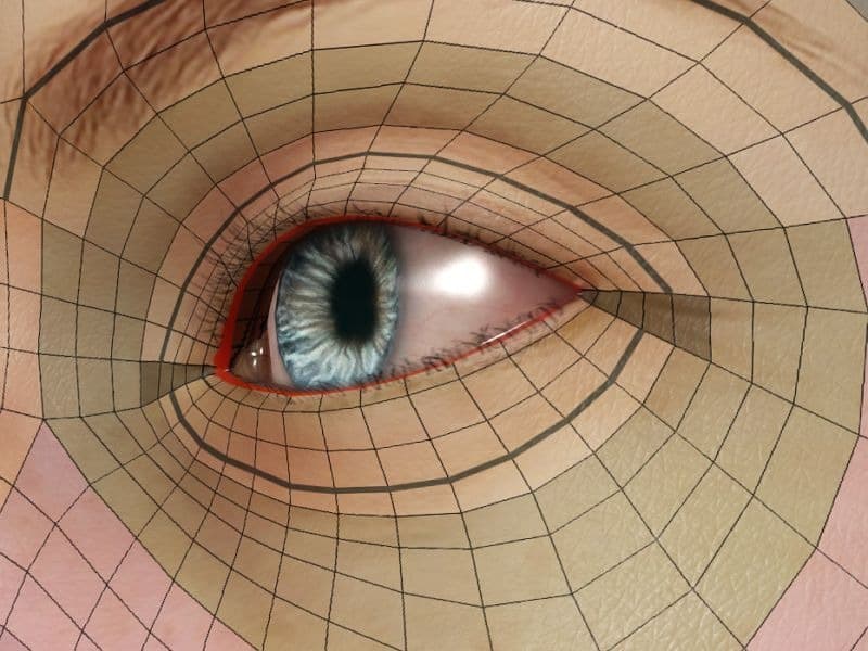 Original CC face topology guide visual from page 19