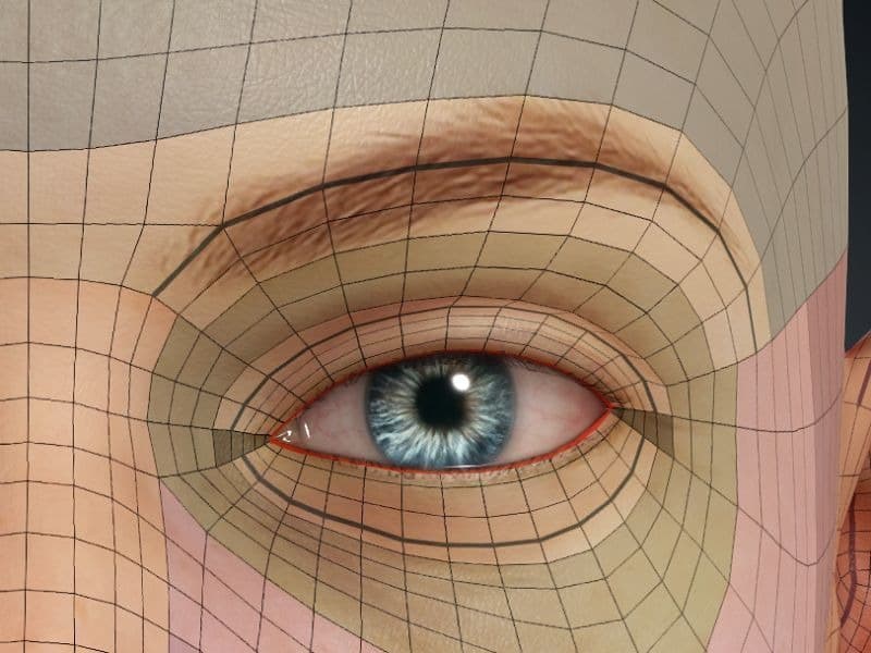 Original CC face topology guide visual from page 20