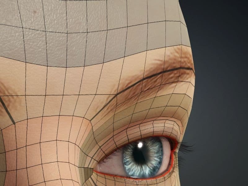 Original CC face topology guide visual from page 20