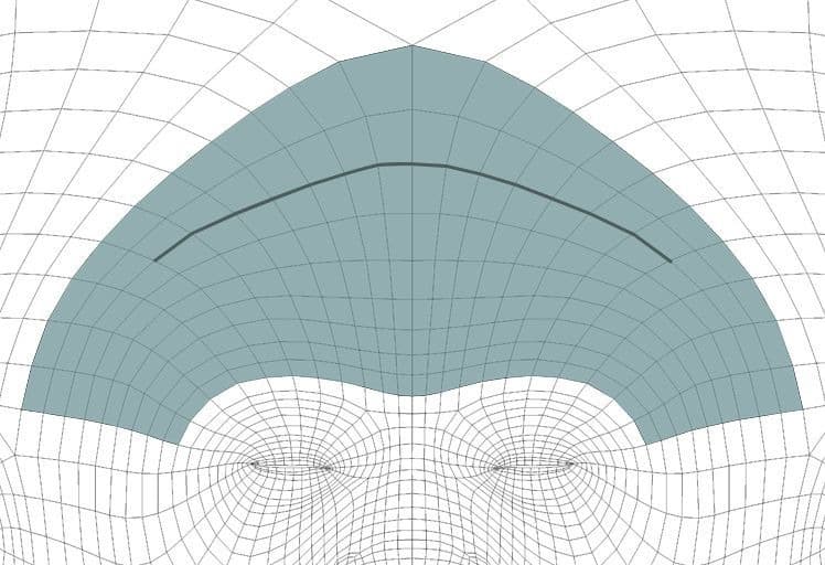 Original CC face topology guide visual from page 21