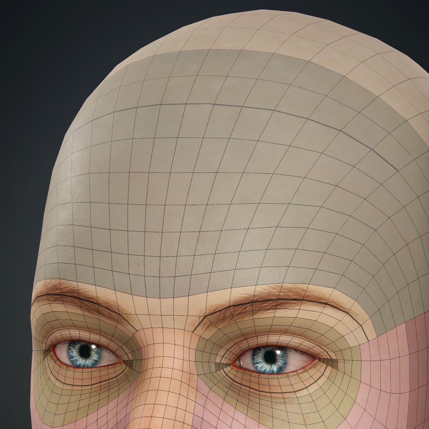 Original CC face topology guide visual from page 21