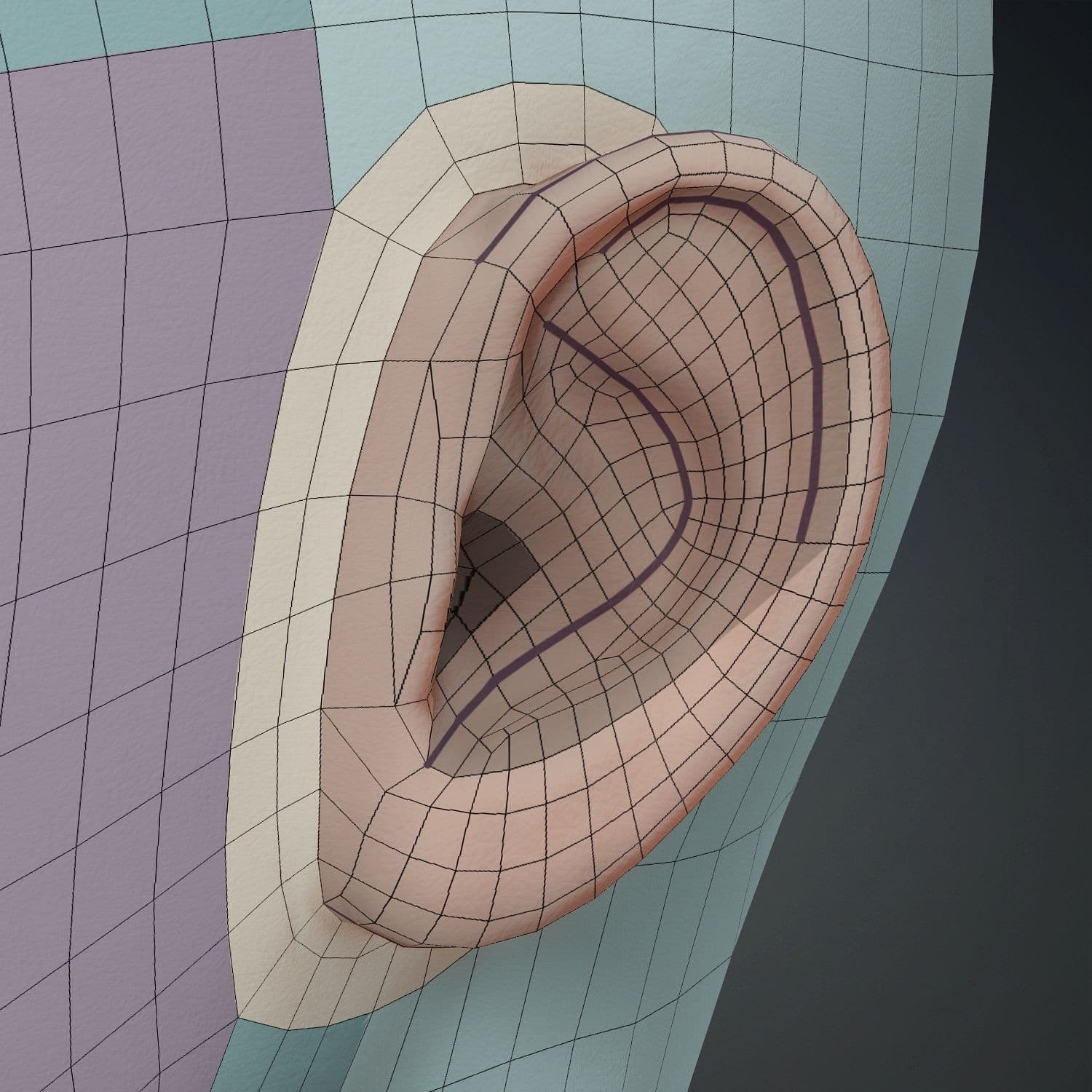 Original CC face topology guide visual from page 22