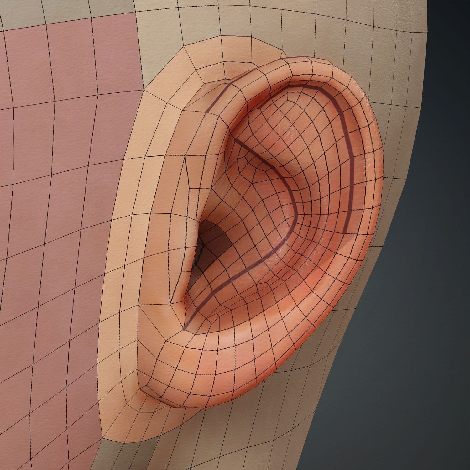 Original CC face topology guide visual from page 22