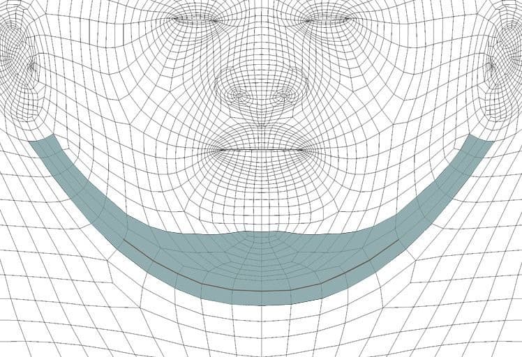 Original CC face topology guide visual from page 24