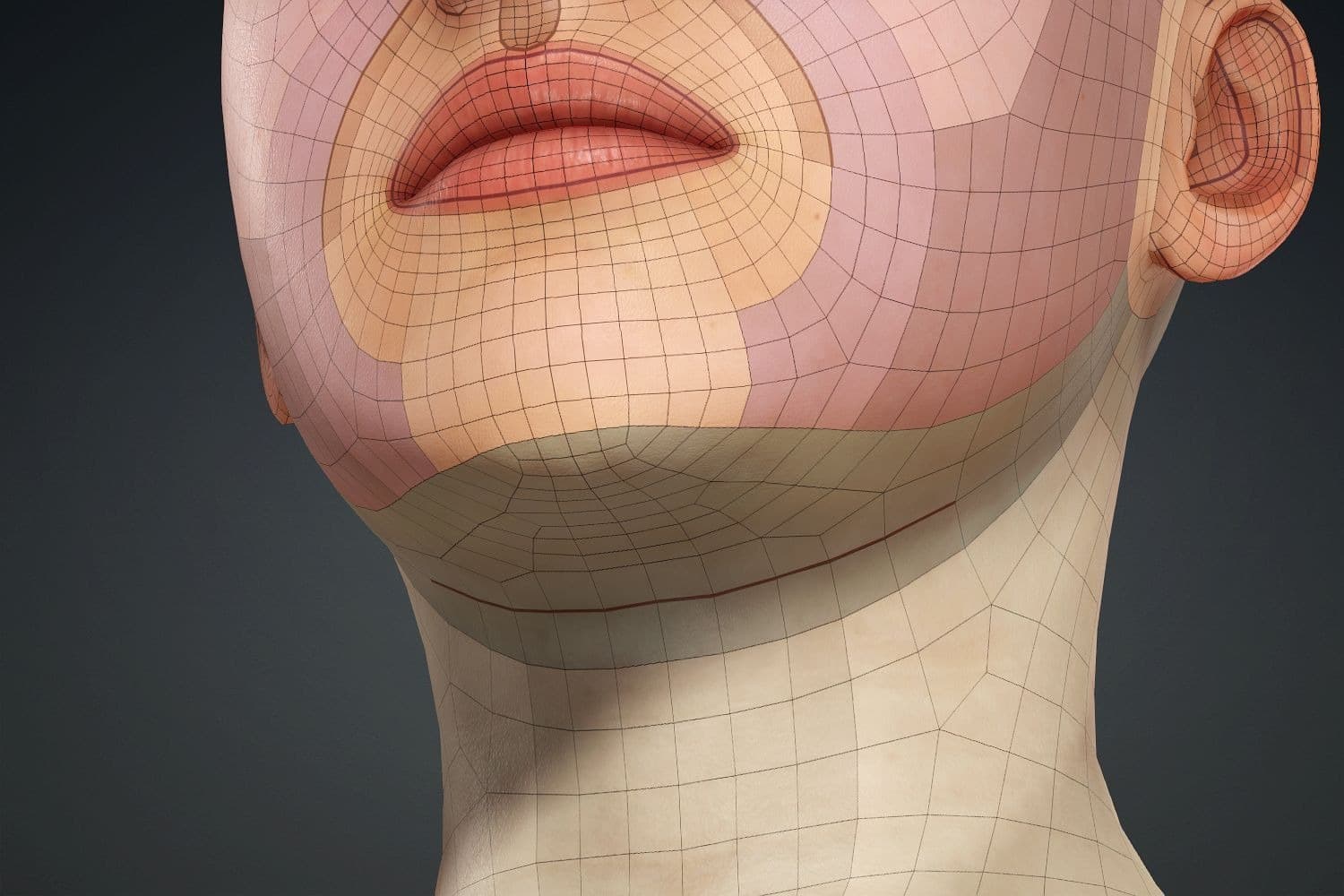 Original CC face topology guide visual from page 24