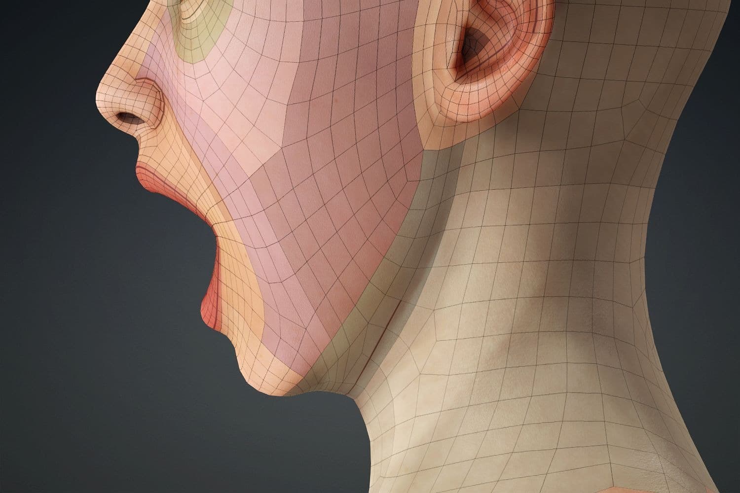 Original CC face topology guide visual from page 24