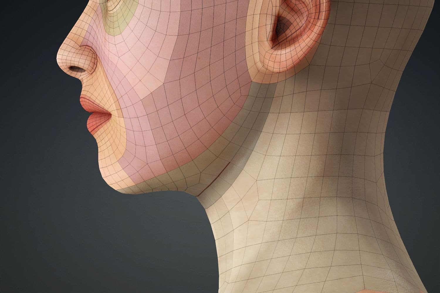 Original CC face topology guide visual from page 24